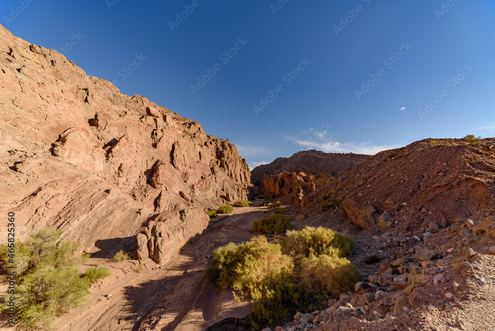 Fototapeta premium Paso San Francisco, Catamarca, Argentina