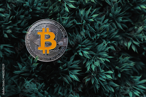bitcoin is the digital money of the future