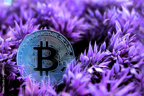 Bitcoin is the world leader in the cryptocurrency market