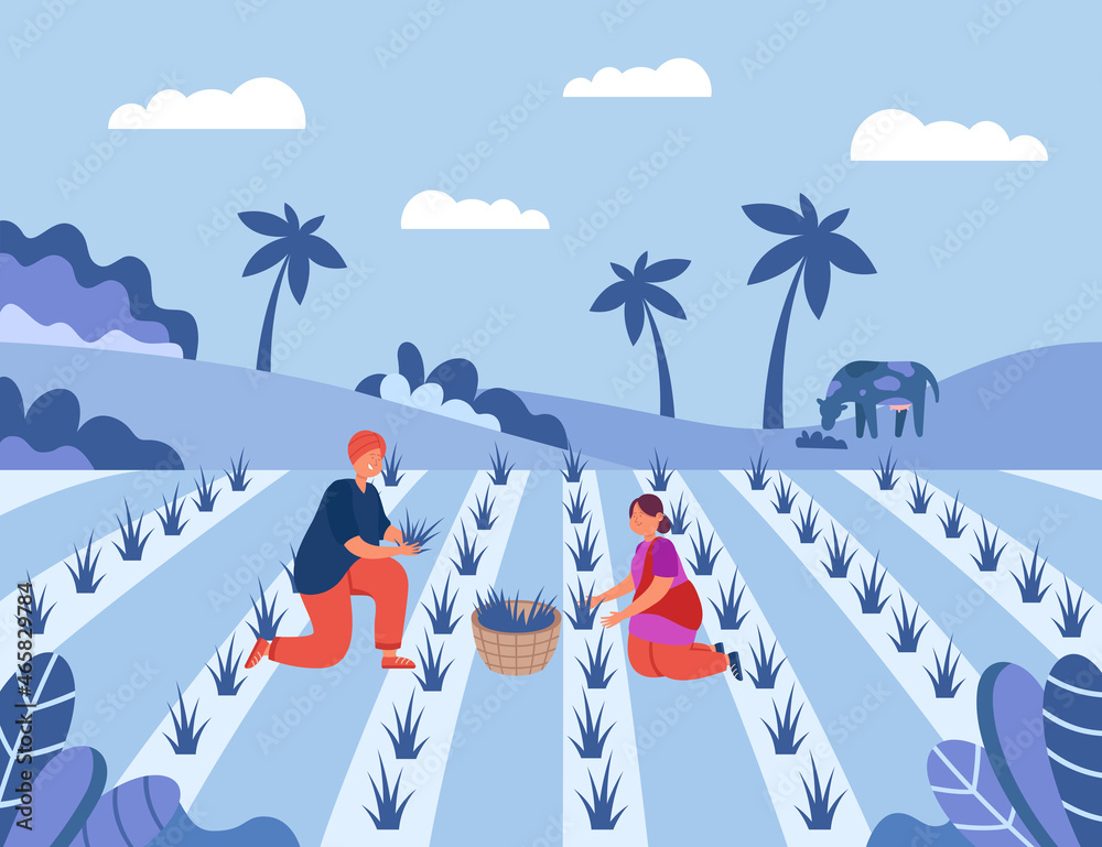 Male and female farmers working on rice fields in Indian village. Cartoon  man and woman working on farm flat vector illustration. India, farming,  agriculture concept for banner, website design Stock Vector |