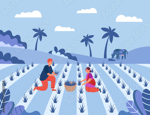 Male and female farmers working on rice fields in Indian village. Cartoon man and woman working on farm flat vector illustration. India, farming, agriculture concept for banner, website design