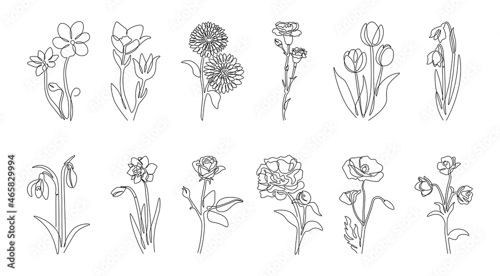 Line flowers. Abstract continuous outline floral decorative graphic collection, minimalistic hand drawn plants with leaves and blossom. Vector botanical set