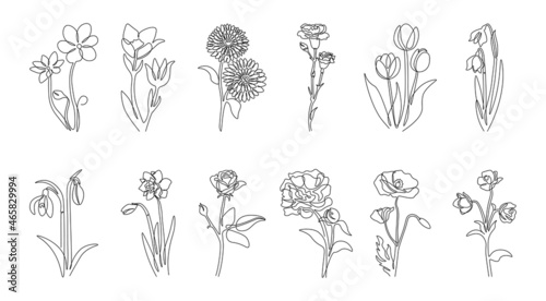 Line flowers. Abstract continuous outline floral decorative graphic collection, minimalistic hand drawn plants with leaves and blossom. Vector botanical set