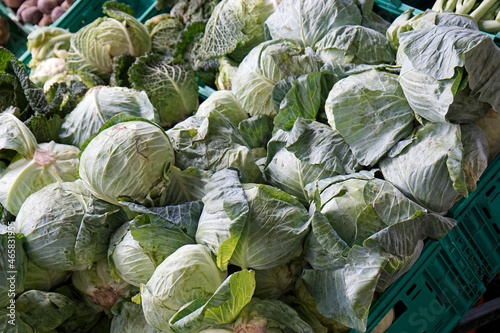 fresh cabbage from a market