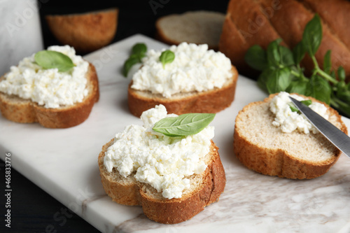 Bread with cottage cheese and basil on board, closeup