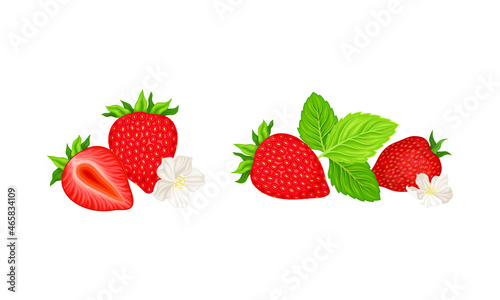 Fototapeta Naklejka Na Ścianę i Meble -  Mature Red Strawberry Whole and Half with Leaves and Blossom Vector Set