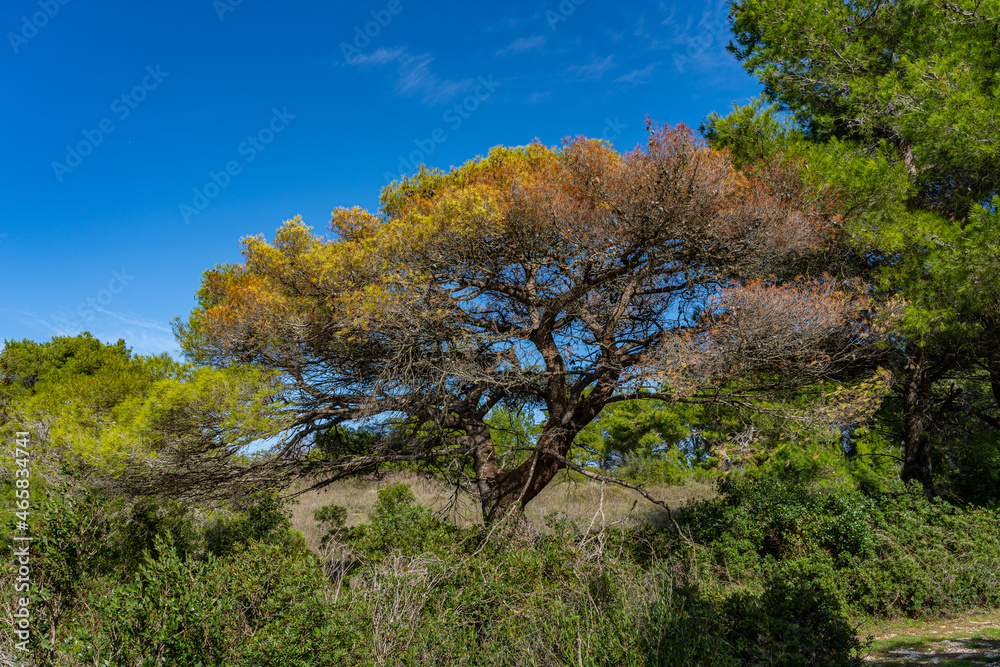 Wanderung zum verlassenen Kloster Agios Andreas Wanderung zum verlassenen Kloster Agios Andreas