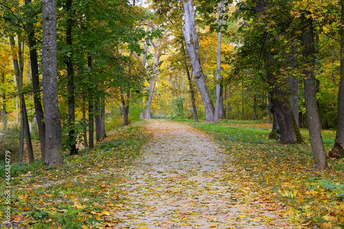 Autumn in park