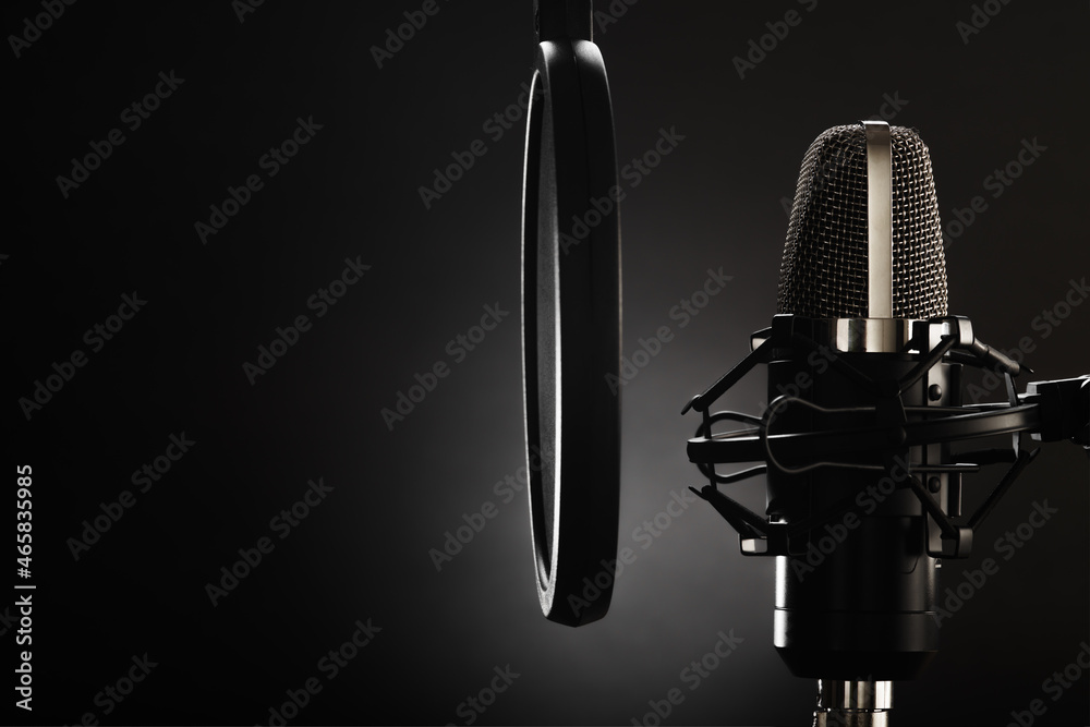 Professional studio microphone and pop filter. Monochrome image. Pure  sound. Professional equipment, recording studio, concert, instrumental  music, professional performance. Stock-Foto | Adobe Stock