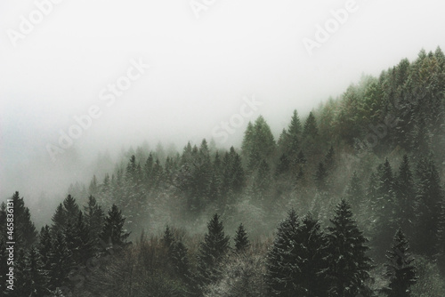 Fototapeta Naklejka Na Ścianę i Meble -  fog in the mountains