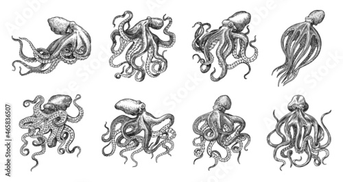 Print op canvas Sea octopus