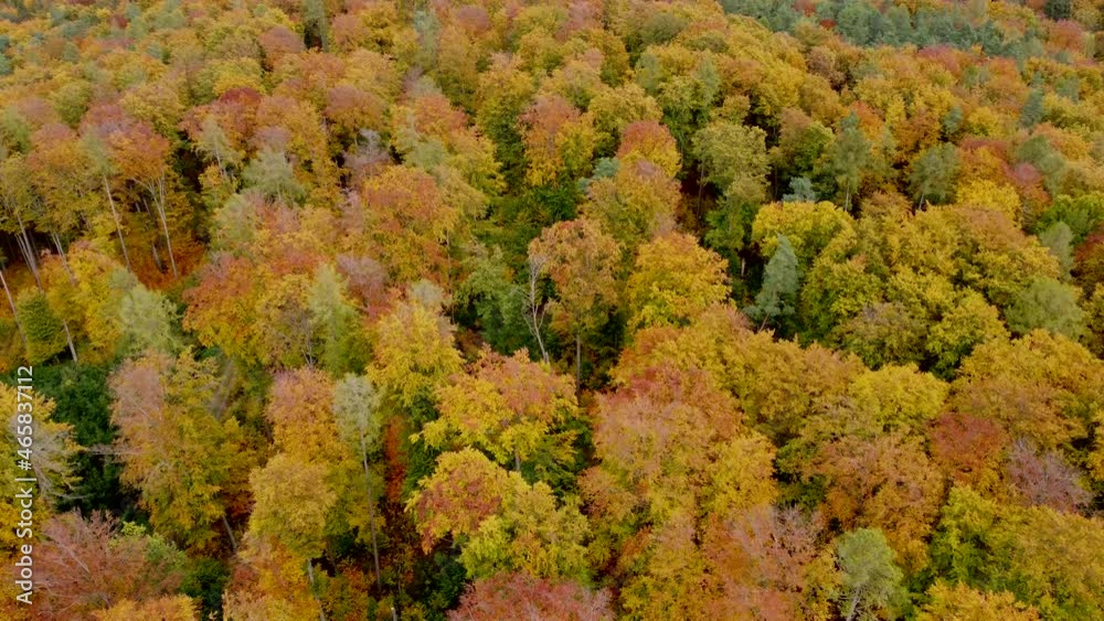 Drohnenaufnahme, Laubwald in Herbstfarben Drohnenaufnahme, Laubwald in Herbstfarben