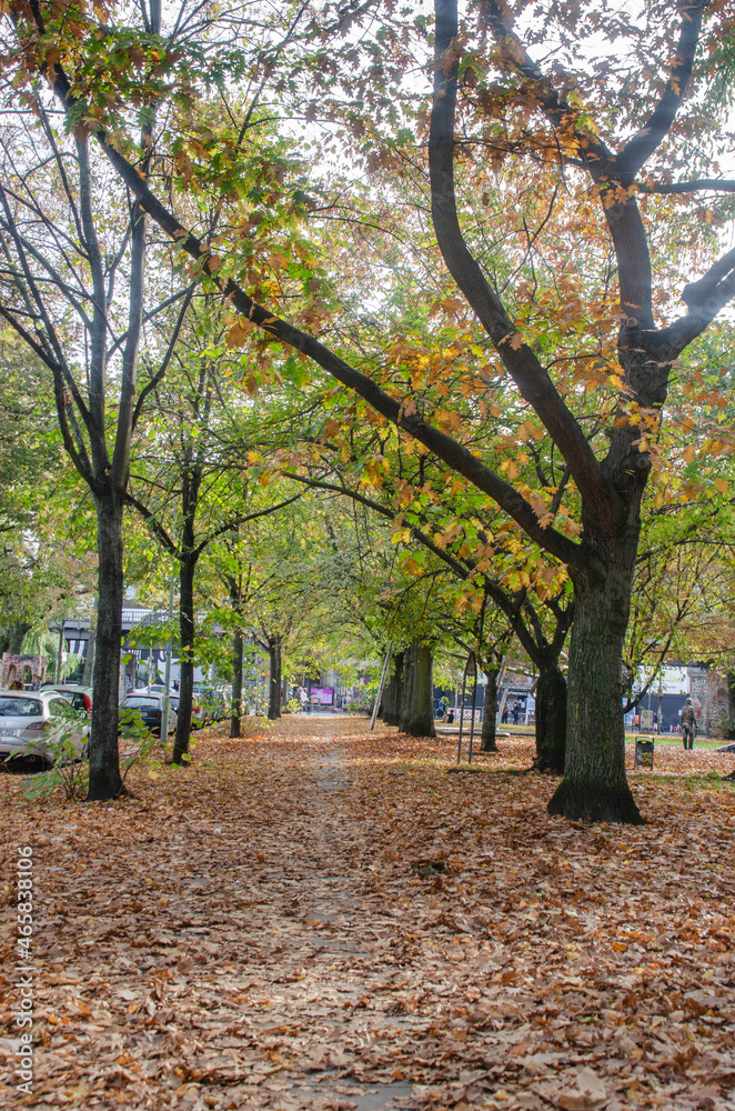 Berlin: Herbst