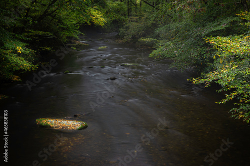 Smooth water flow around the rock of Cataloochee Creek in the Great Smokies National Park of North Carolina photo
