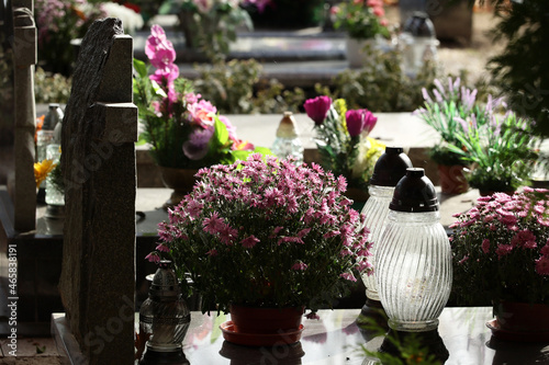 Kwiaty chryzantemy na święto zmarłych na cmentarzu.