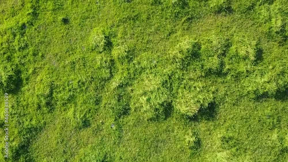 Green field and mountains behind Green field and mountains behind