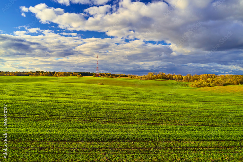 A beautiful landscape with green grass against a blue sky. Communication tower in the distance