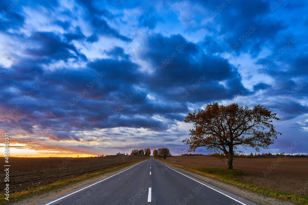 Beautiful evening landscape in the savannah. A lonely spreading tree stands near an empty road. An incredible sunset saturated with colors. The road goes into the distance