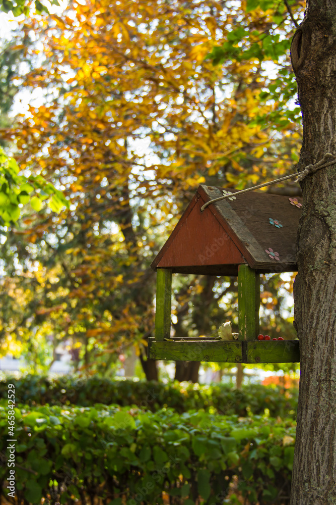 Bird feeder in autumn park. Autumn Park Bird feeder in autumn park. Autumn Park