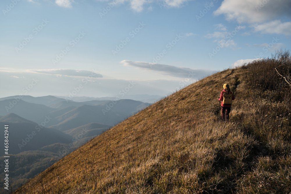 German Shepherd travels with owner. Female traveler walks along narrow path at top of mountain with her dog. Trekking route in national park.