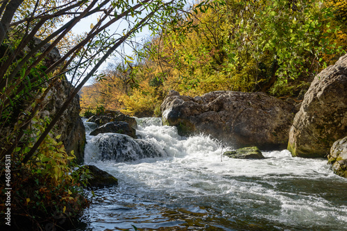 river in the forest