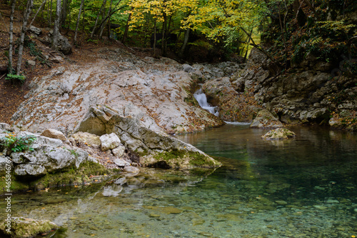 river in the forest