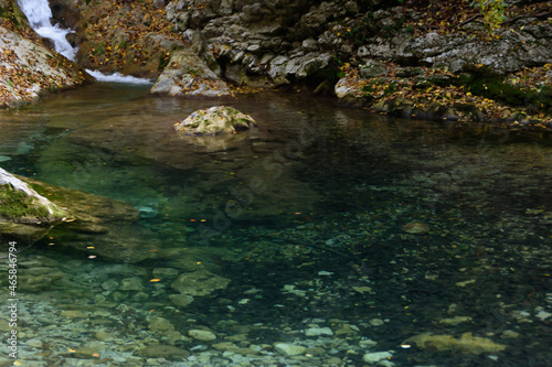 water in the forest
