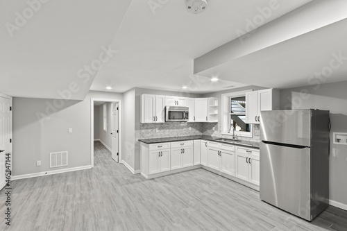 Luxurious mansion basement kitchen with fridge