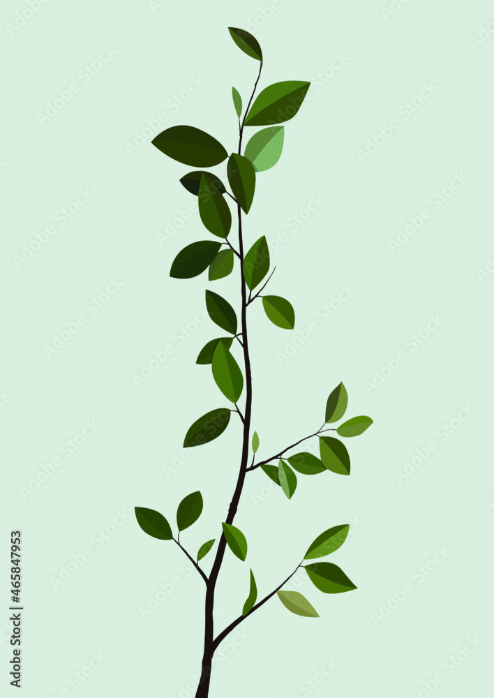 Branch with green young small leaves. Vector flat illustration with gray background. Modern drawing. Design for cards, posters, backgrounds, templates, textiles, menus, t-shirts. Branch with green young small leaves. Vector flat illustration with gray background. Modern drawing. Design for cards, posters, backgrounds, templates, textiles, menus, t-shirts.