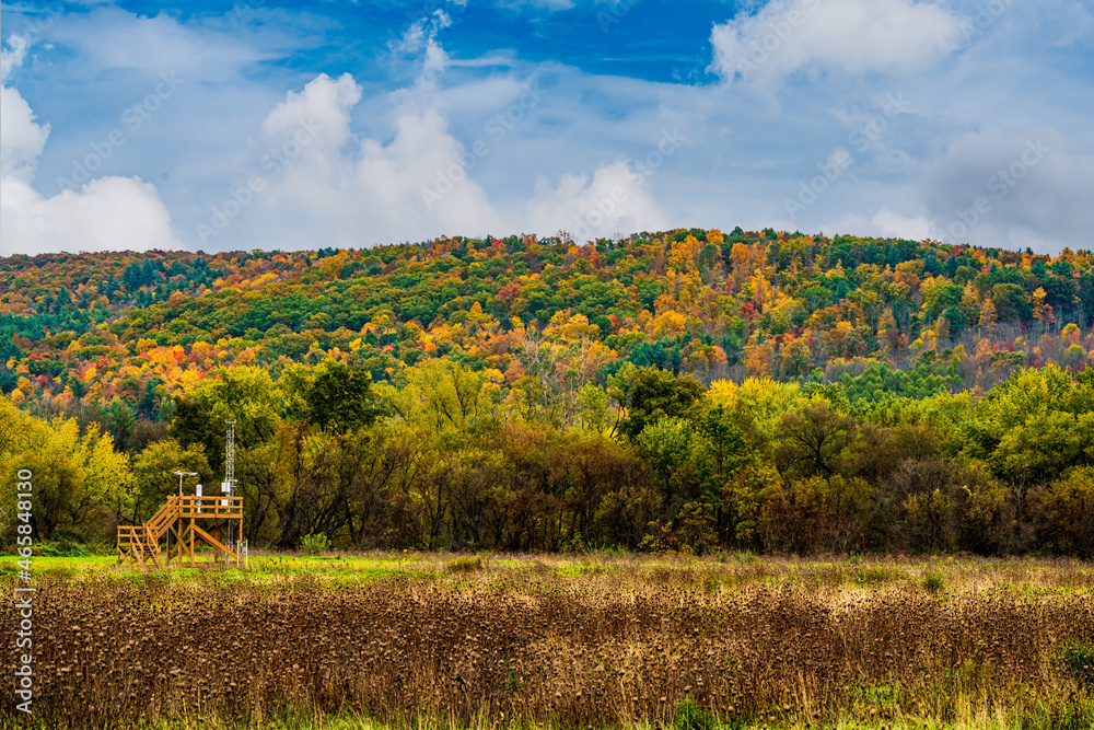 Autumn landscape with a Airport Weather Station, forest, trees and mountain