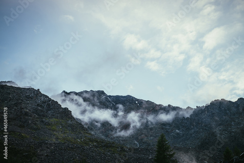 Coniferous tree top on background of high rocky mountain wall with low clouds. Dark atmospheric landscape with low clouds on sharp rocks. Awesome scenery with rough rocks with cloud under cloudy sky.
