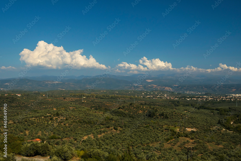 View on a valley with orchards with olive trees in Peloponnese southern Greece