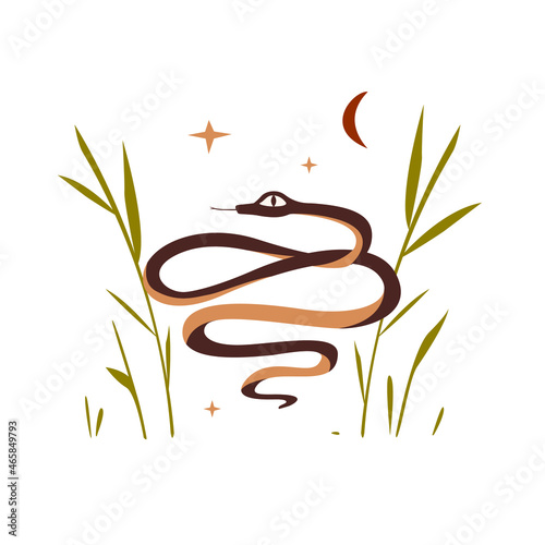 Mystical illustration with snake in grass with moon and stars symbols. Celestial and boho composition on white background. Isolated vector illustration for posters, cards or web.