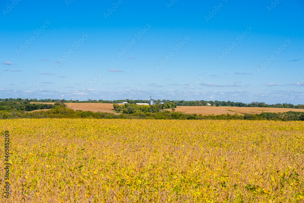 A field of crops in Western Missouri