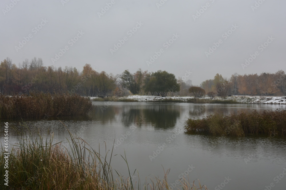 Fototapeta premium reflection of trees in the water