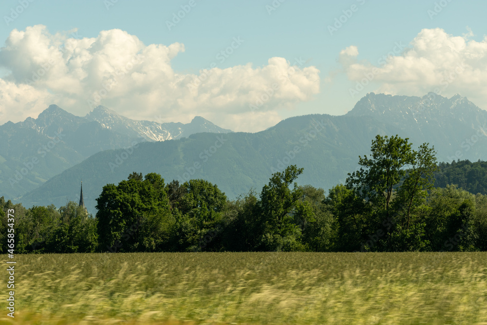 Obraz premium Oberriet, Switzerland, June 13, 2021 Green meadow in an alpine scenery on a sunny day