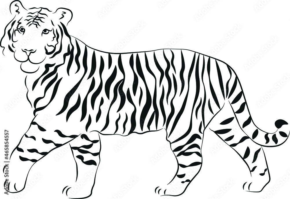 Tiger, hand drawn animal illustration. New year, logo, cards, print Tiger, hand drawn animal illustration. New year, logo, cards, print