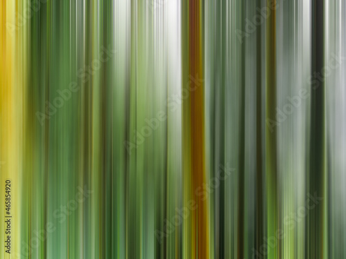 Intentional Camera Movement landscape with trees