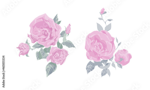 A set of drawn roses in vintage style for use in the interior, industry, printing. Vector illustration