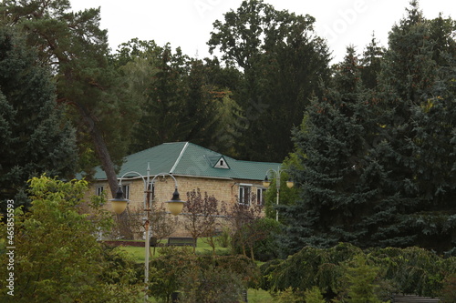 Big house in the forest