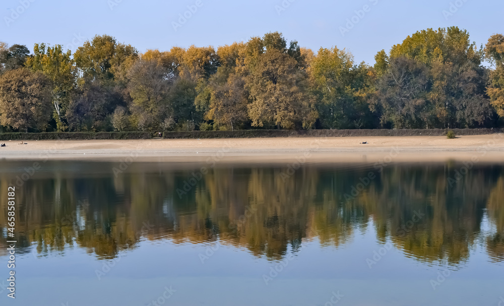 autumn trees reflected in the water