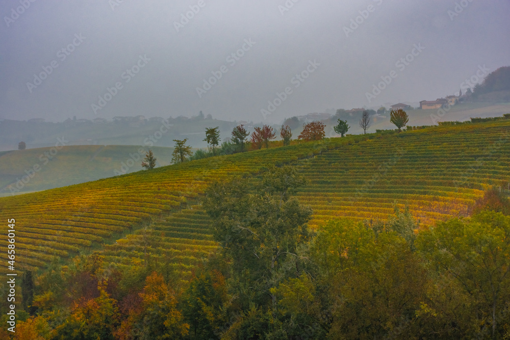 Fototapeta premium Amazing autumnal landscape in the Langhe, famous vineyard area in Piedmont Italy