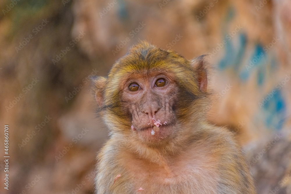 Naklejka premium Travel landscape view