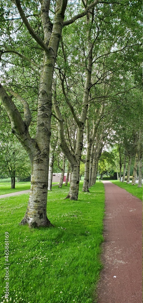 alley in the park