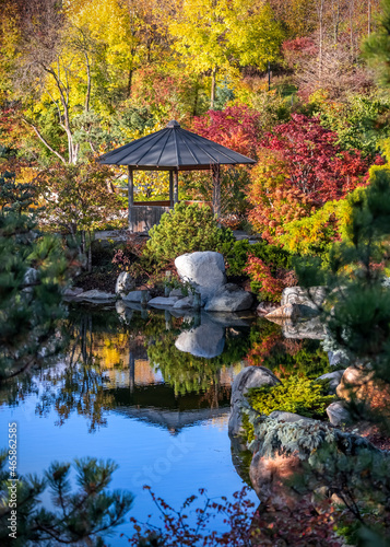 A small pavilion at Japanes garden in Frederik Meijer gardens , Grand rapids, Michigan surrounded with Fall foliage photo