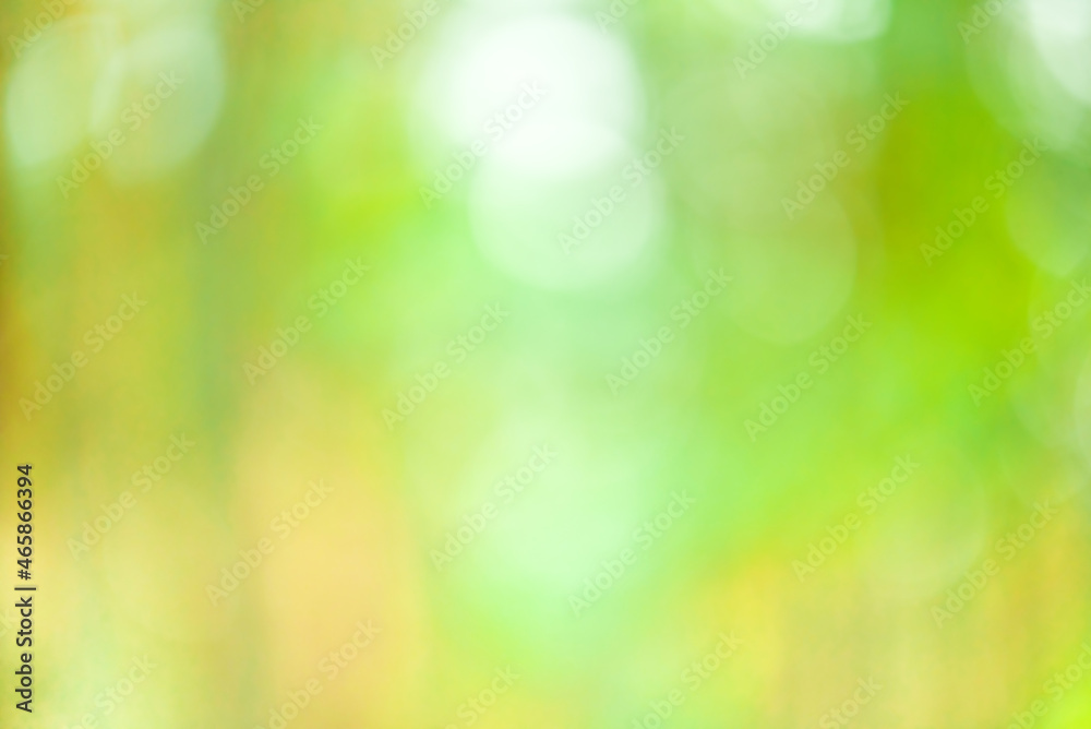 Obraz premium Defocus. Pine forest as a blurred background. Abstract natural background with trees.