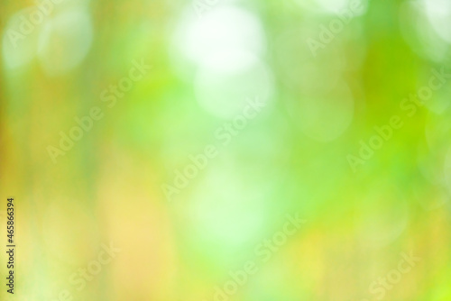 Defocus. Pine forest as a blurred background. Abstract natural background with trees.