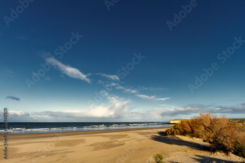 Desolate beach with bushes at El Doradillo beach, near Puerto Madryn, Argentina photo