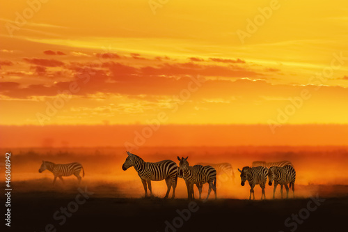 Fototapeta Naklejka Na Ścianę i Meble -  Zebra in Vibrant African Sunset
