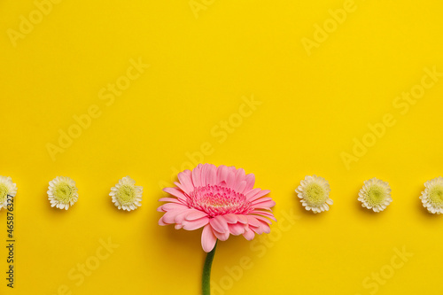 Quadro em tela Beautiful flowers on yellow background. Concept of uniqueness